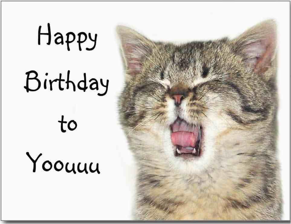 Funny Birthday Cards with Cats 41 Best Funny Birthday Wishes for Birthday Boy Girl Aunt