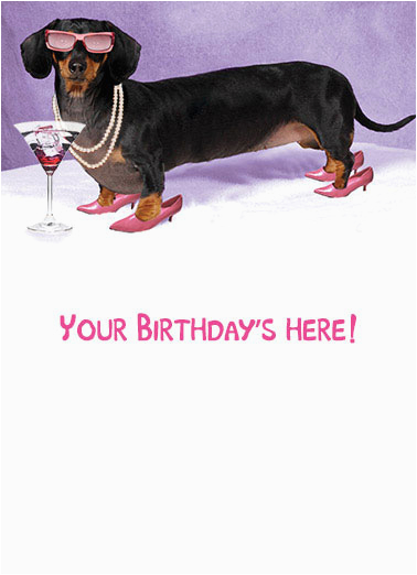 birthday keywords dachshund