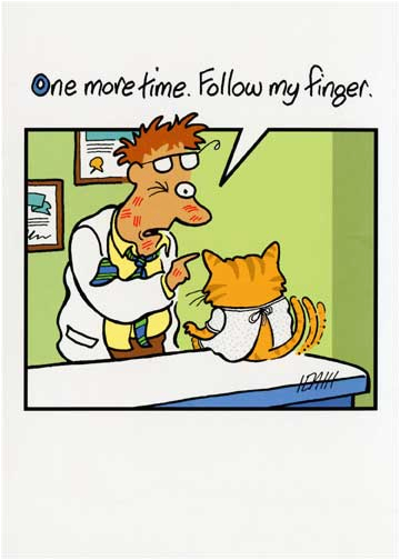 cat at doctor funny birthday card greeting card by