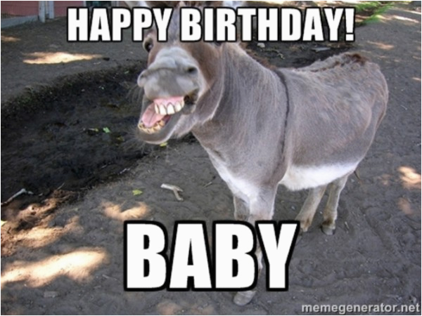 Funny Donkey Birthday Cards BirthdayBuzz