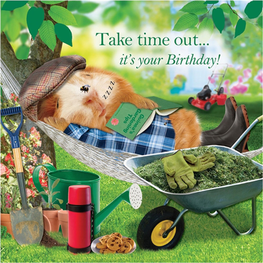 garden hammock funny birthday card afternoon snooze guinea