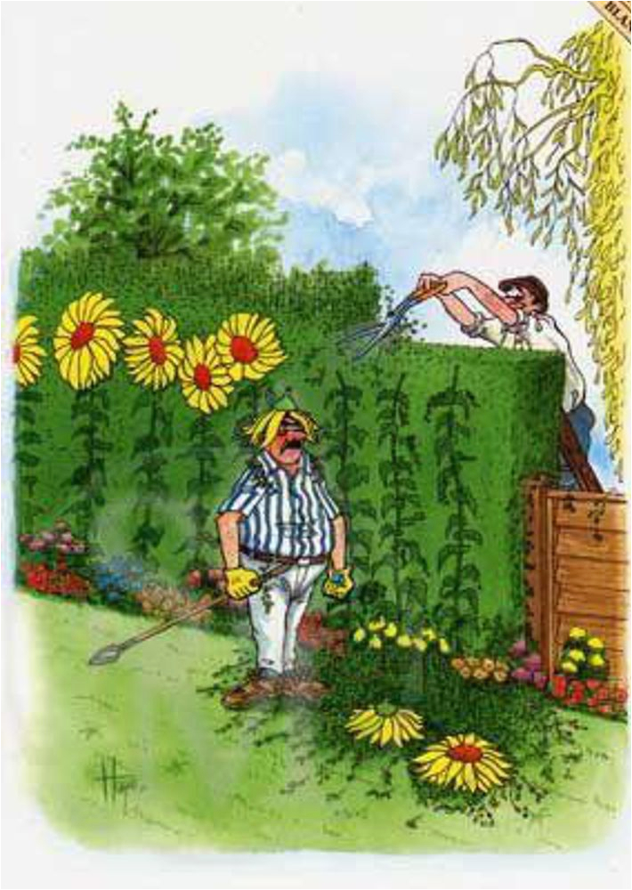gardening greeting card the hedge cutter