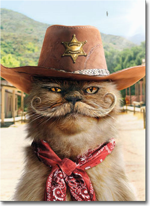 sheriff cat with mustache stand out pop up birthday card