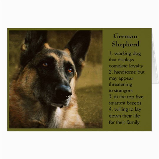 german shepherd birthday card for dad zazzle com