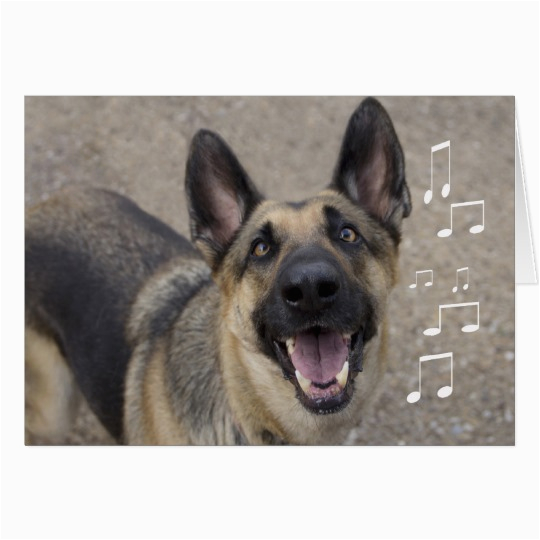 german shepherd birthday card zazzle