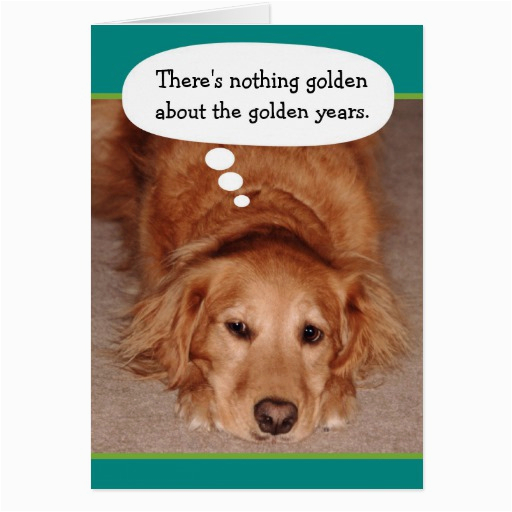 funny golden oldie golden retriever birthday card 137397312208622569