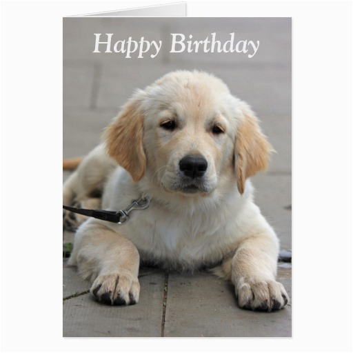 golden retriever puppy cute photo birthday card 137493089628488875