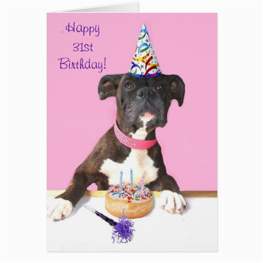 happy 31st birthday boxer dog greeting card zazzle