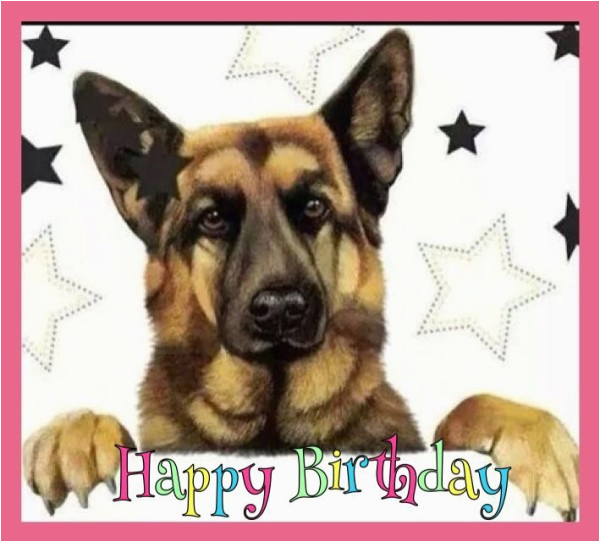 happy birthday wishes with german shepherd