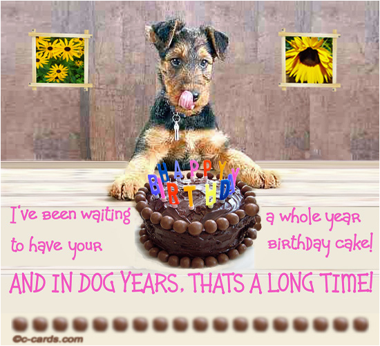 birthday quotes for dog lovers