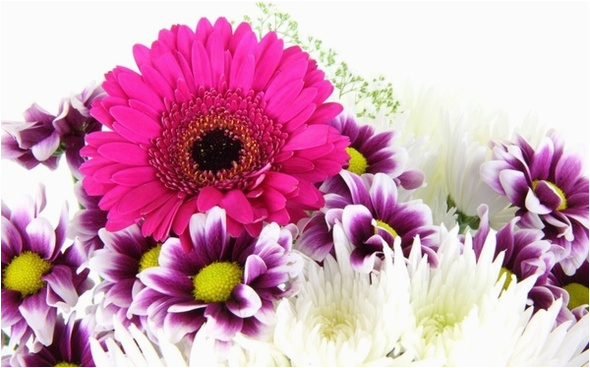 happy birthday flowers bouquet free stock photos download