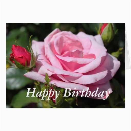 pink rose flowers happy birthday love girlfriend card