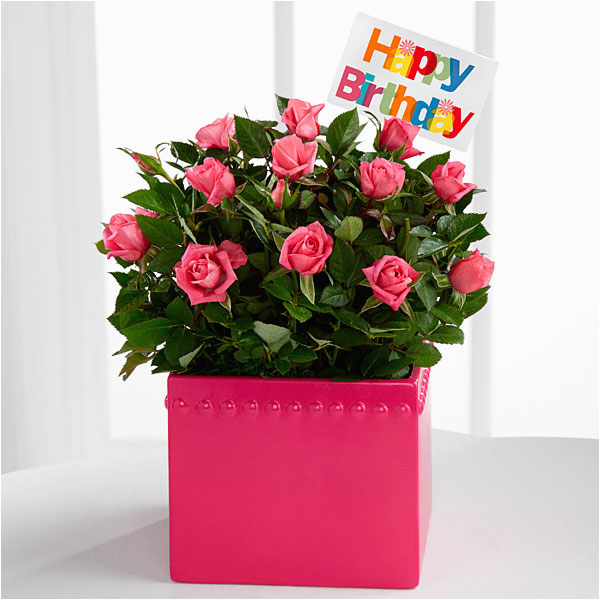 romantic birthday wishes to say happy birthday to your