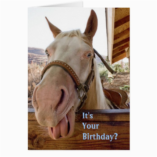 horse birthday cards 137754602360152140