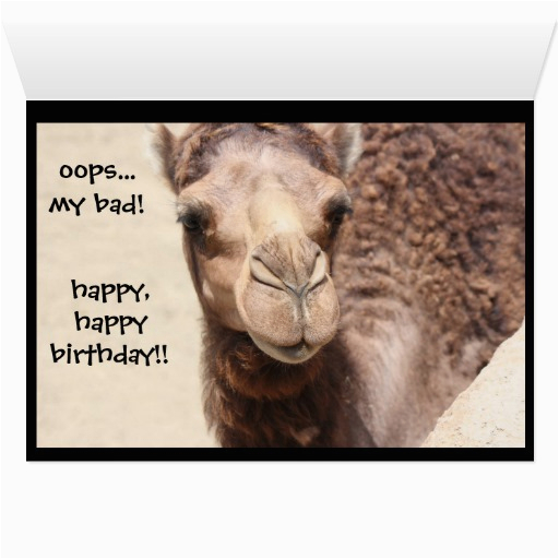 funny camel hump day birthday card 2 zazzle