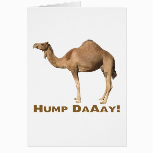 hump day greeting card zazzle