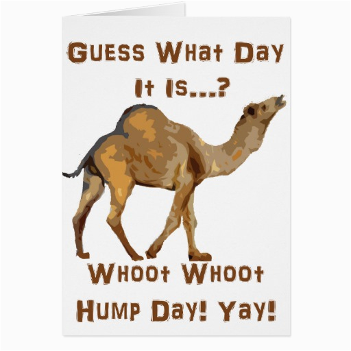 Hump Day Birthday Card Its Hump Day Greeting Cards Zazzle