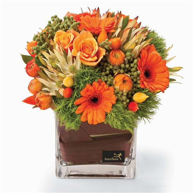 clearly orange container flower arrangement interflora nz
