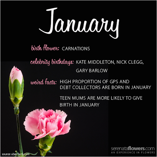 january birthday flower flowers ideas for review