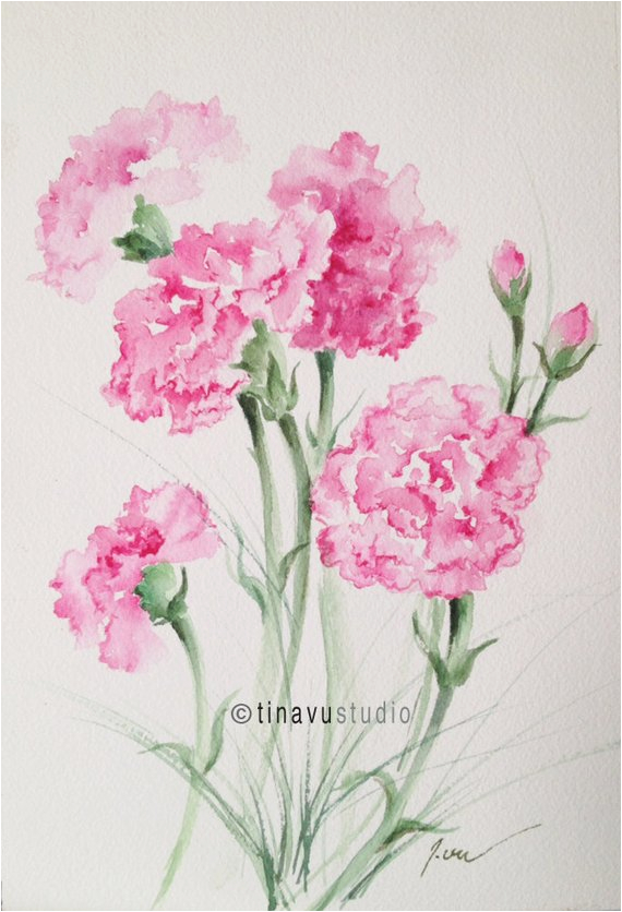 january birthday flowers pink carnations original watercolor