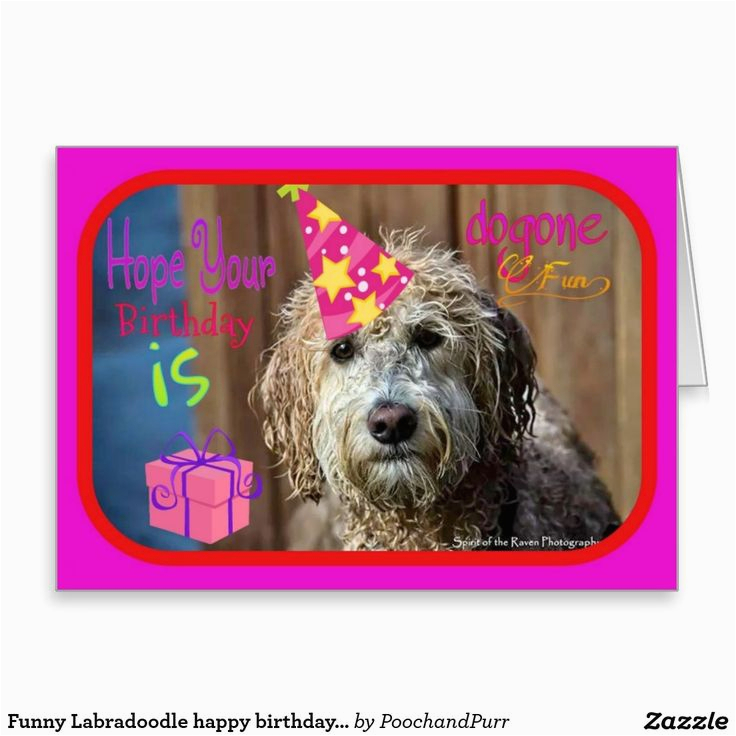 pooches and purrs pet store zazzle