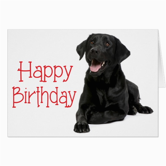 happy birthday fun card with labrador dog 137150455921955346