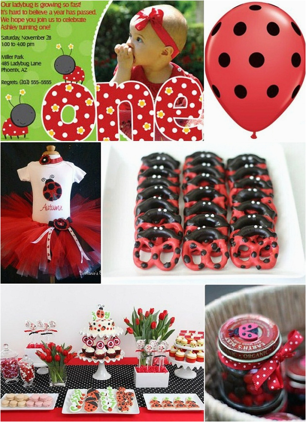 ideas for a ladybug first birthday party