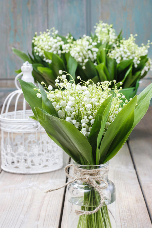bouquet of lily of the valley flowers stock image image
