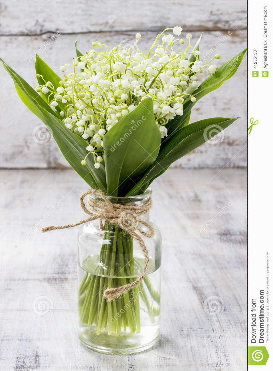 bouquet of lily of the valley flowers stock photo image