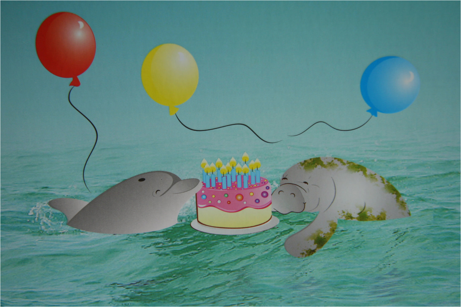 dolphin and manatee happy birthday card