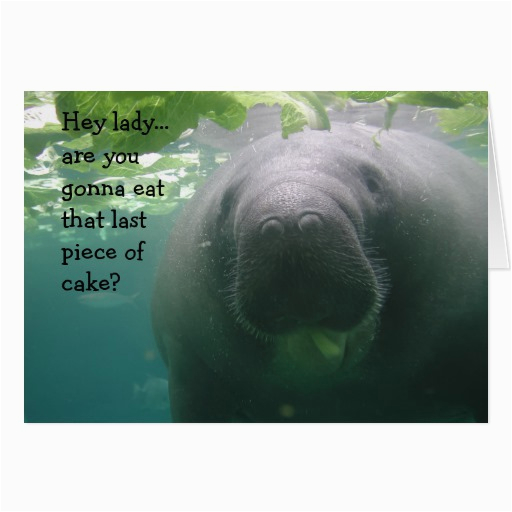 manatee birthday last piece of cake lady 5x7 card 137539533465005907