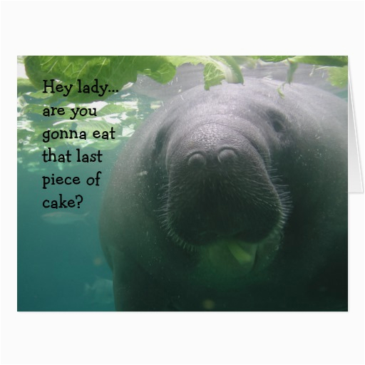 manatee birthday last piece of cake lady big card 137790917264542368