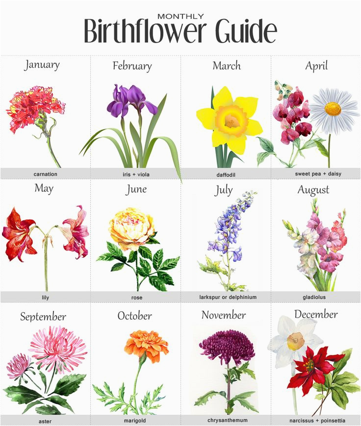 25 best ideas about birth flowers on pinterest month