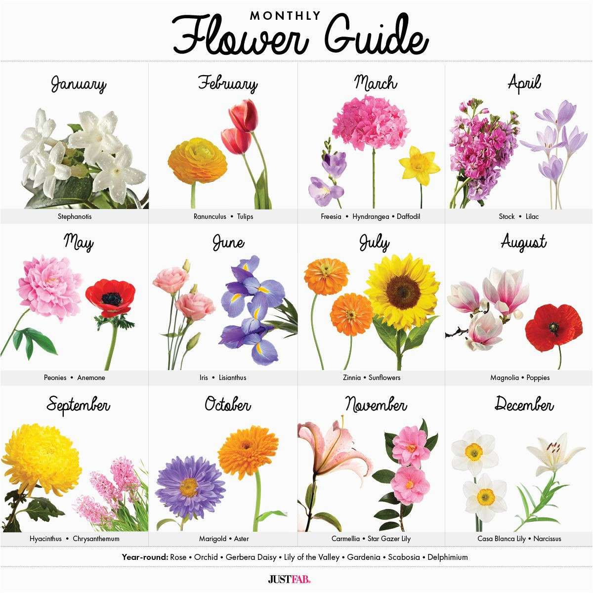 a visual guide to wedding flowers by month wedding