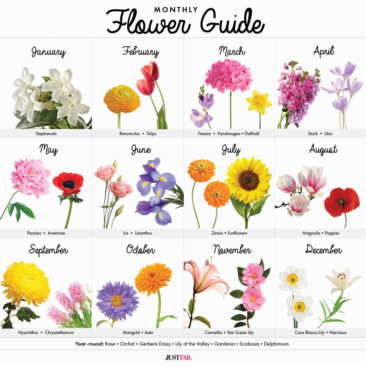 Monthly Birthday Flowers A Visual Guide to Wedding Flowers by Month