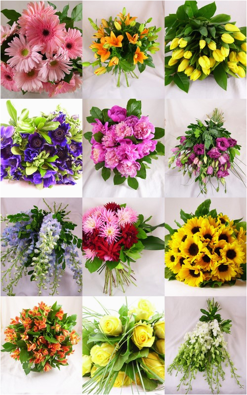 birth month flowers pictures beautiful flowers