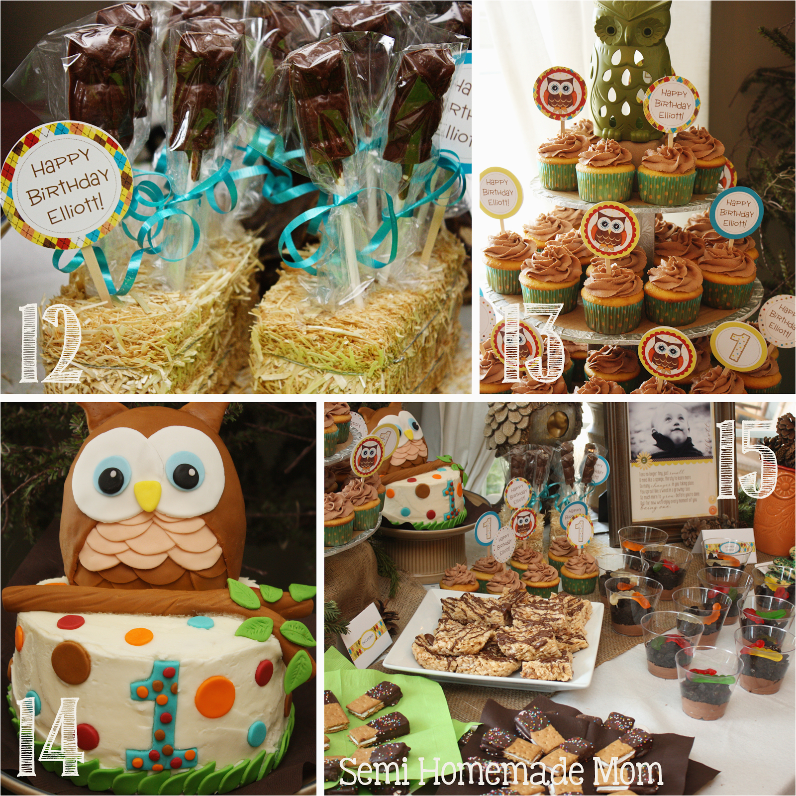 owl 1st birthday party