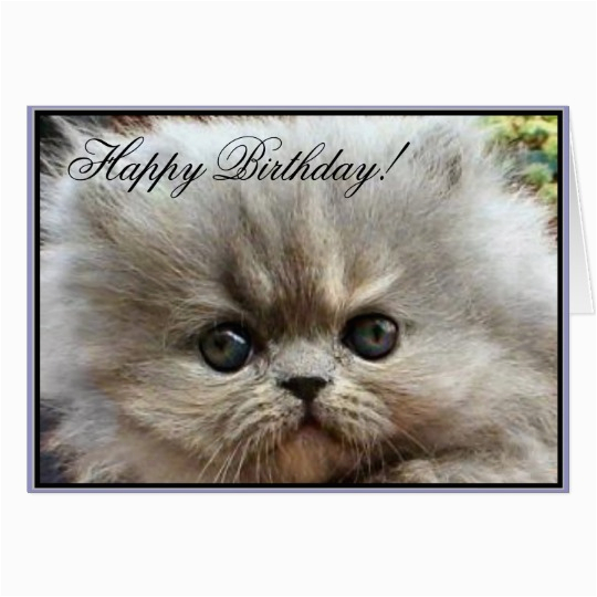 happy birthday persian kitten greeting card zazzle ca