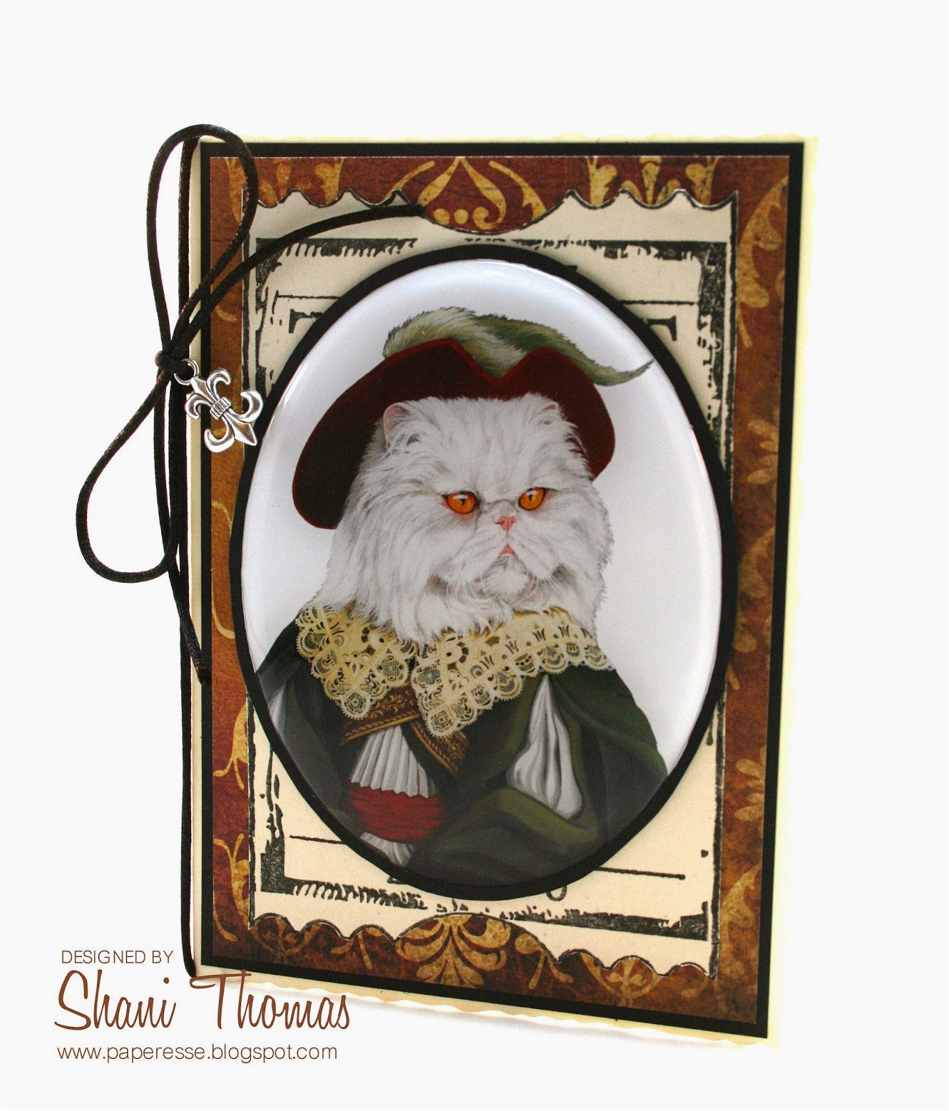 paperesse funny persian cat birthday card