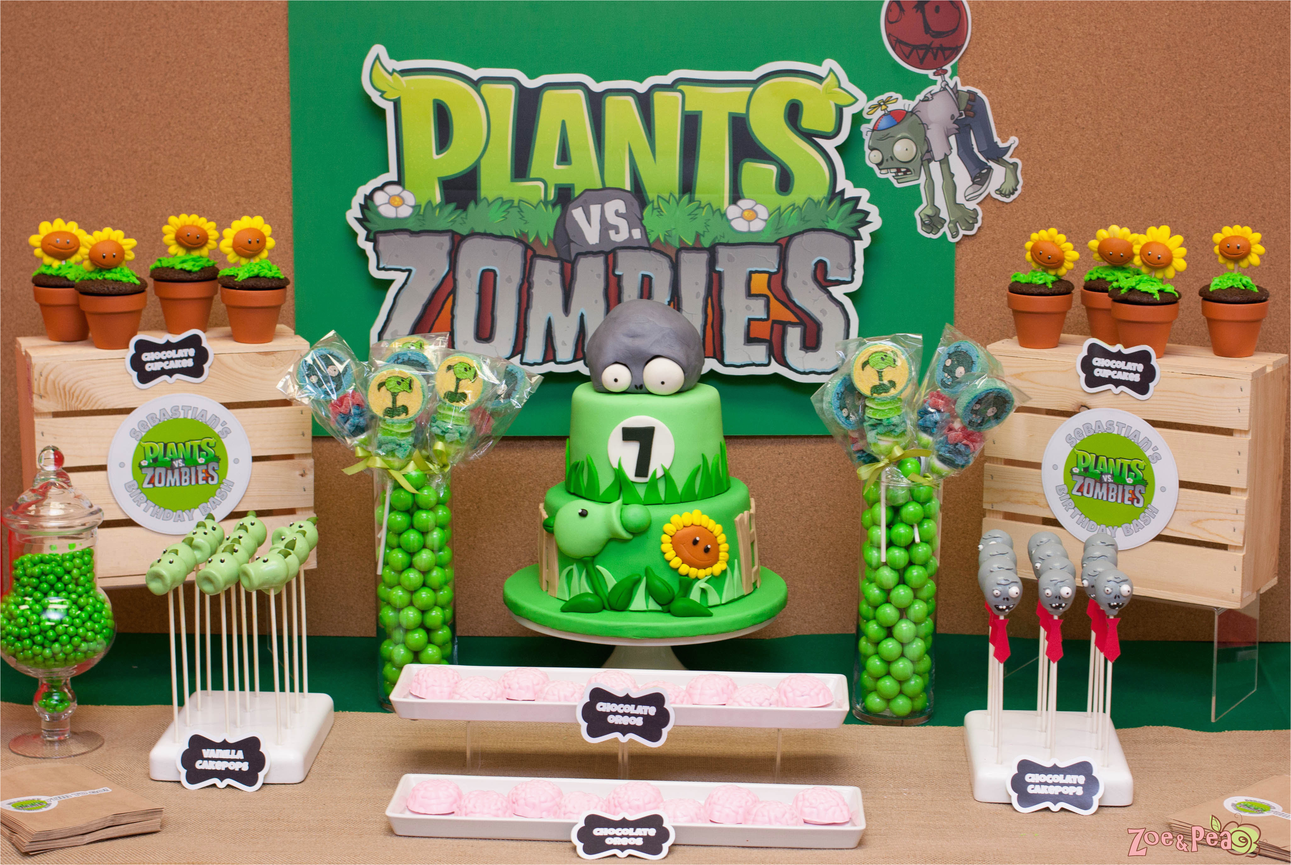 plants vs zombies birthday