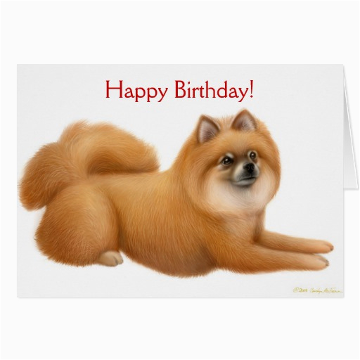 pomeranian happy birthday card 137507848290598831