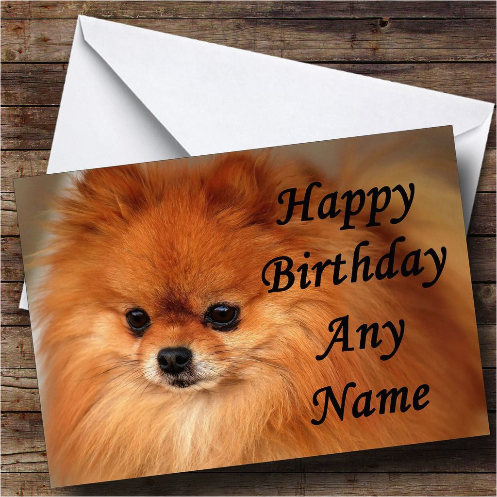 pomeranian puppy dog personalised birthday card 8573 p