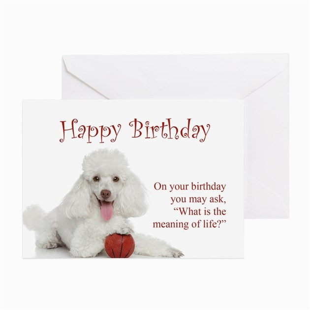 funny poodle birthday card greeting cards productid 764674908