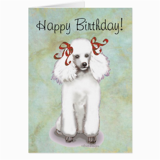 white poodle birthday card 137961148128428982