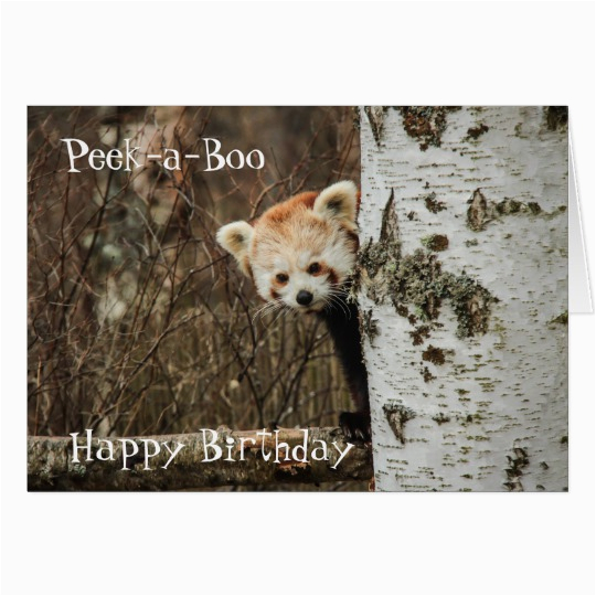 red panda happy birthday card 137993774969494550