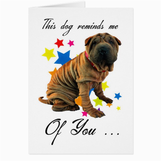 birthday card with cute shar pei humourous card zazzle