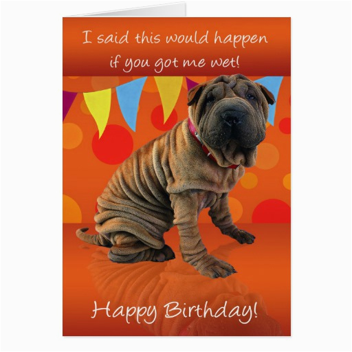 fun shar pei birthday card with birthday humor zazzle