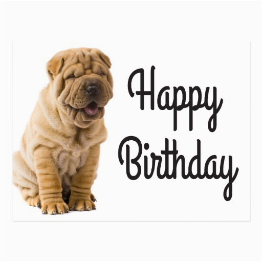 happy birthday chinese shar pei puppy dog card postcard