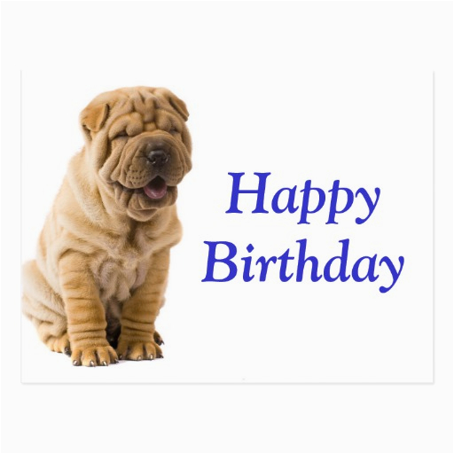 happy birthday chinese shar pei puppy dog card postcard