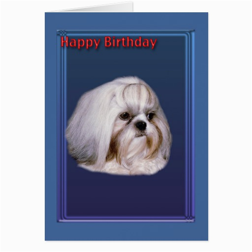 birthday greeting card with shih tzu zazzle